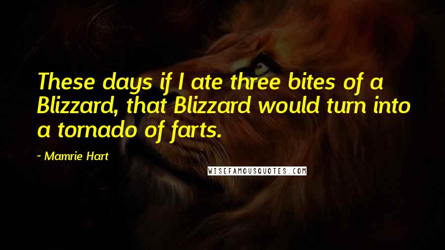 Mamrie Hart Quotes: These days if I ate three bites of a Blizzard, that Blizzard would turn into a tornado of farts.