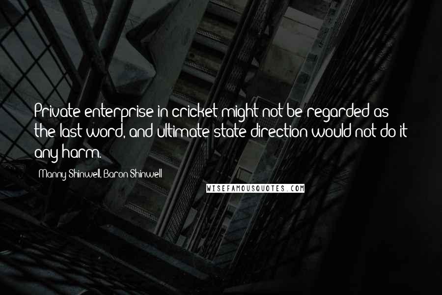 Manny Shinwell, Baron Shinwell Quotes: Private enterprise in cricket might not be regarded as the last word, and ultimate state direction would not do it any harm.
