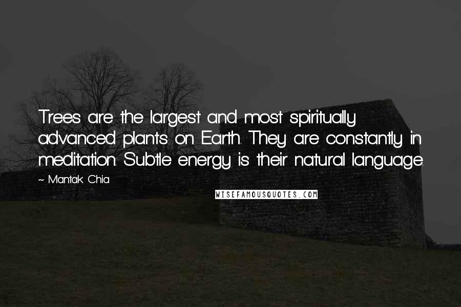 Mantak Chia Quotes: Trees are the largest and most spiritually advanced plants on Earth. They are constantly in meditation. Subtle energy is their natural language.