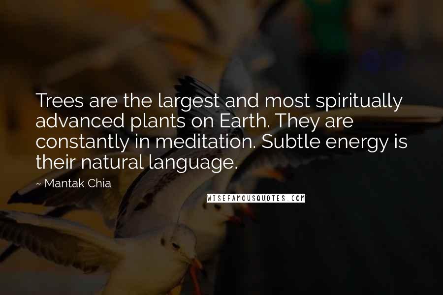 Mantak Chia Quotes: Trees are the largest and most spiritually advanced plants on Earth. They are constantly in meditation. Subtle energy is their natural language.