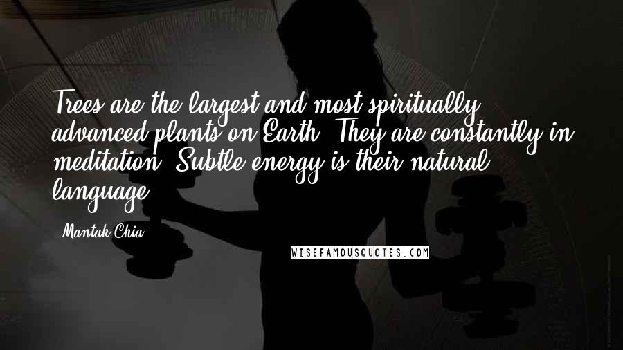 Mantak Chia Quotes: Trees are the largest and most spiritually advanced plants on Earth. They are constantly in meditation. Subtle energy is their natural language.