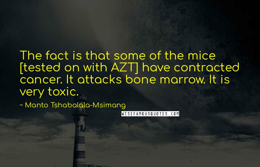 Manto Tshabalala-Msimang Quotes: The fact is that some of the mice [tested on with AZT] have contracted cancer. It attacks bone marrow. It is very toxic.