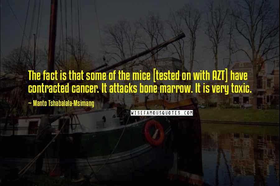 Manto Tshabalala-Msimang Quotes: The fact is that some of the mice [tested on with AZT] have contracted cancer. It attacks bone marrow. It is very toxic.