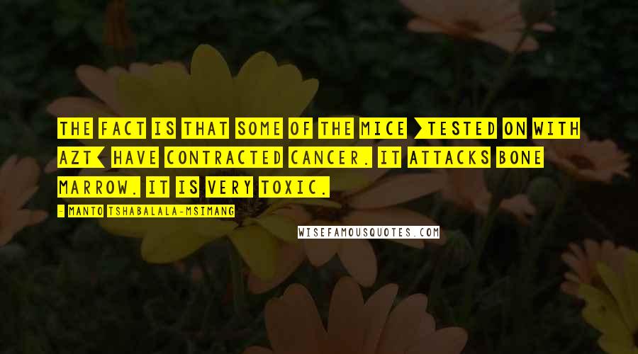 Manto Tshabalala-Msimang Quotes: The fact is that some of the mice [tested on with AZT] have contracted cancer. It attacks bone marrow. It is very toxic.