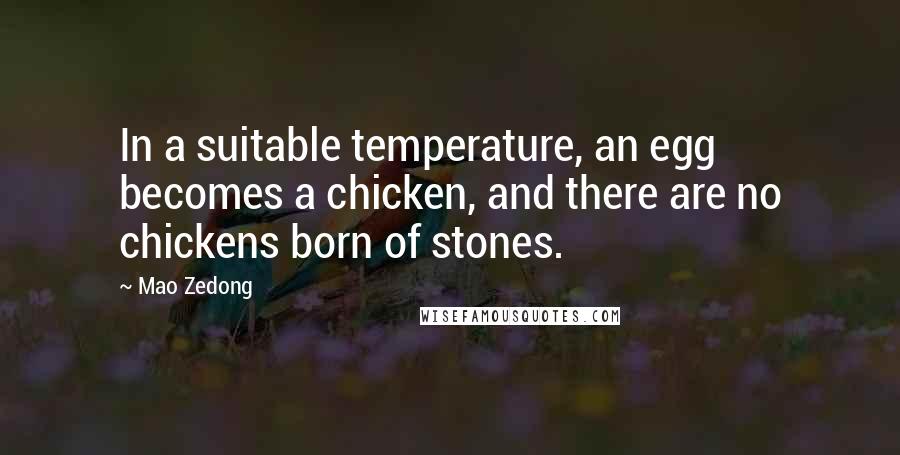 Mao Zedong Quotes: In a suitable temperature, an egg becomes a chicken, and there are no chickens born of stones.