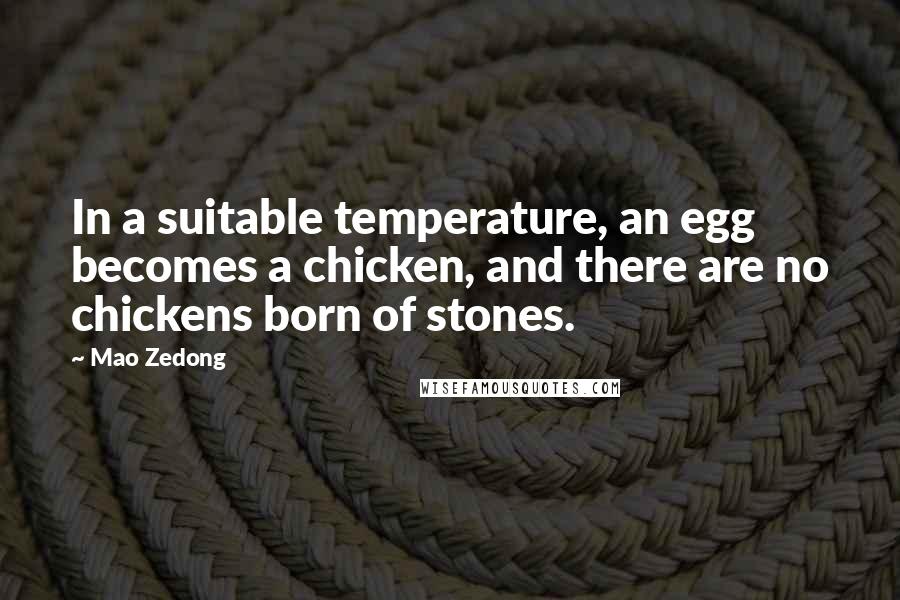 Mao Zedong Quotes: In a suitable temperature, an egg becomes a chicken, and there are no chickens born of stones.