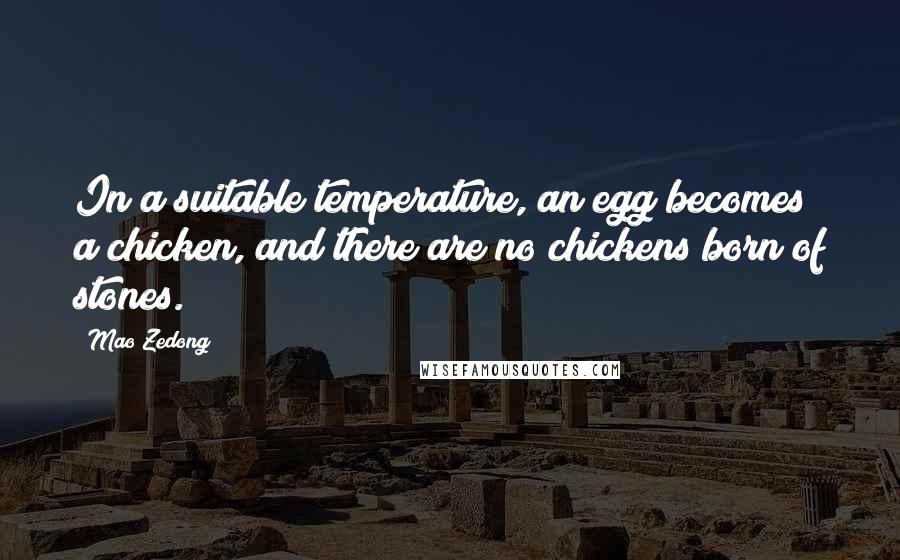 Mao Zedong Quotes: In a suitable temperature, an egg becomes a chicken, and there are no chickens born of stones.