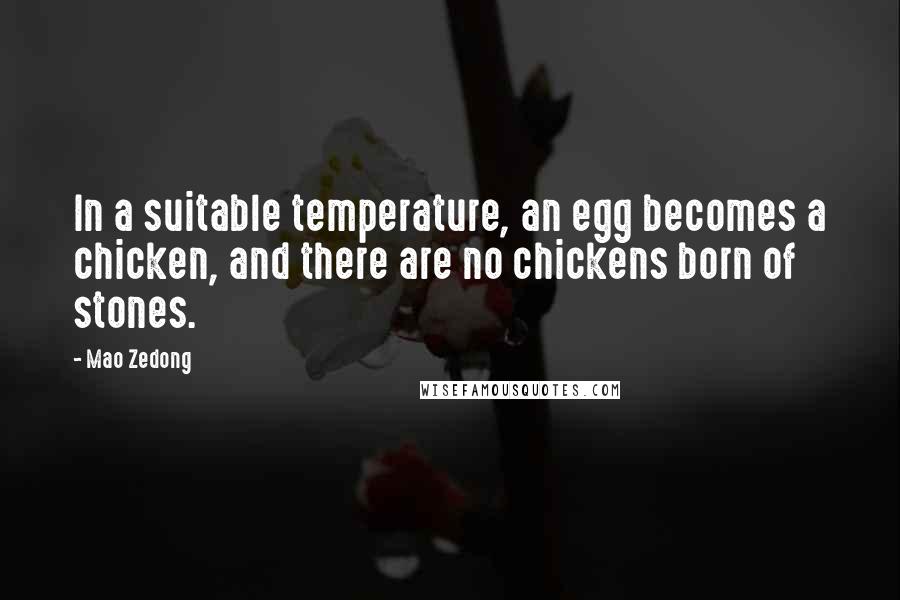 Mao Zedong Quotes: In a suitable temperature, an egg becomes a chicken, and there are no chickens born of stones.