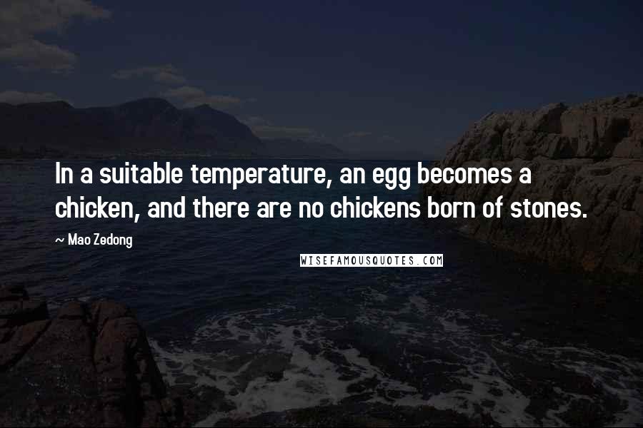 Mao Zedong Quotes: In a suitable temperature, an egg becomes a chicken, and there are no chickens born of stones.