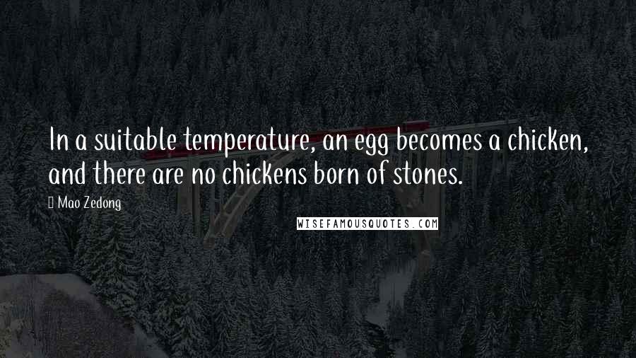 Mao Zedong Quotes: In a suitable temperature, an egg becomes a chicken, and there are no chickens born of stones.