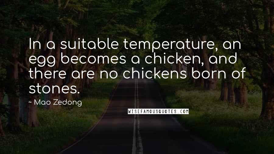 Mao Zedong Quotes: In a suitable temperature, an egg becomes a chicken, and there are no chickens born of stones.