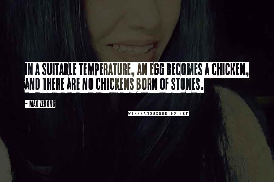 Mao Zedong Quotes: In a suitable temperature, an egg becomes a chicken, and there are no chickens born of stones.