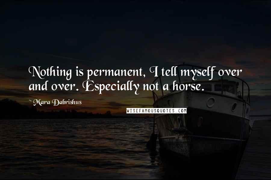 Mara Dabrishus Quotes: Nothing is permanent, I tell myself over and over. Especially not a horse.