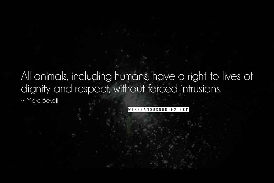 Marc Bekoff Quotes: All animals, including humans, have a right to lives of dignity and respect, without forced intrusions.