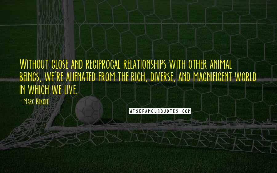 Marc Bekoff Quotes: Without close and reciprocal relationships with other animal beings, we're alienated from the rich, diverse, and magnificent world in which we live.