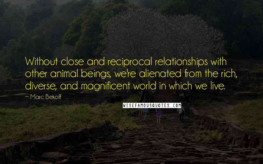 Marc Bekoff Quotes: Without close and reciprocal relationships with other animal beings, we're alienated from the rich, diverse, and magnificent world in which we live.