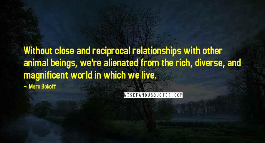 Marc Bekoff Quotes: Without close and reciprocal relationships with other animal beings, we're alienated from the rich, diverse, and magnificent world in which we live.