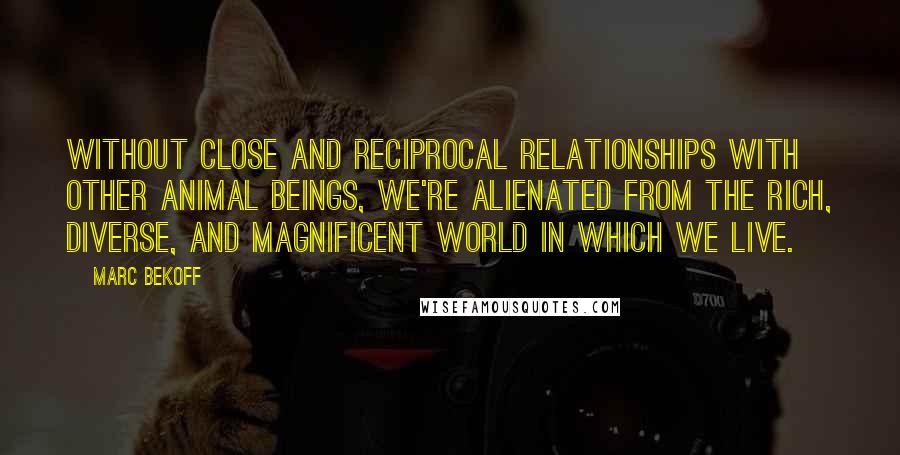 Marc Bekoff Quotes: Without close and reciprocal relationships with other animal beings, we're alienated from the rich, diverse, and magnificent world in which we live.