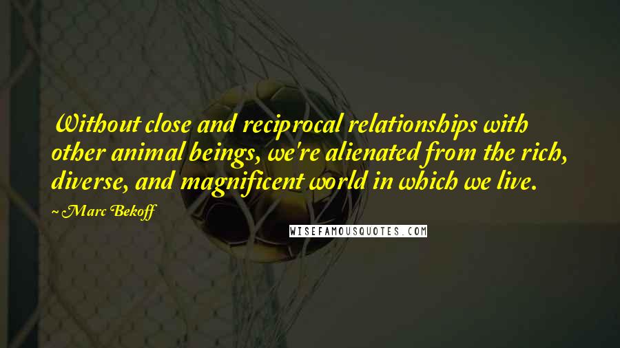 Marc Bekoff Quotes: Without close and reciprocal relationships with other animal beings, we're alienated from the rich, diverse, and magnificent world in which we live.