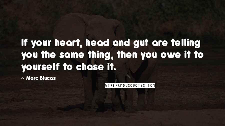 Marc Blucas Quotes: If your heart, head and gut are telling you the same thing, then you owe it to yourself to chase it.