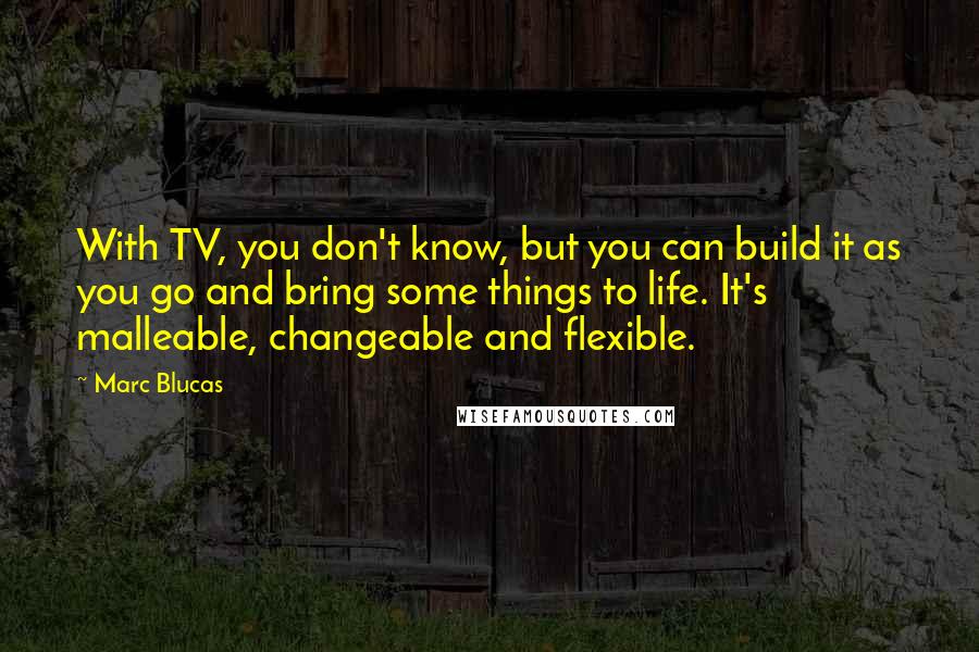Marc Blucas Quotes: With TV, you don't know, but you can build it as you go and bring some things to life. It's malleable, changeable and flexible.