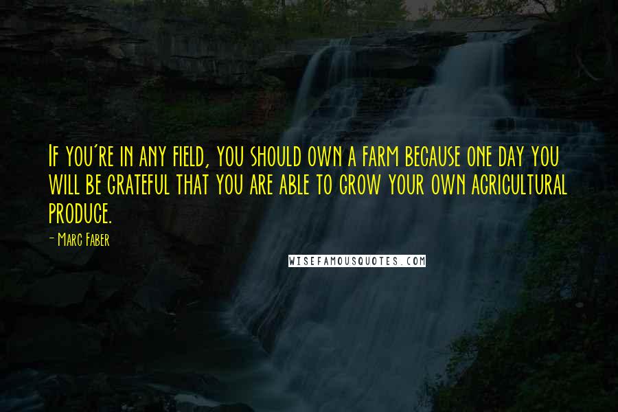 Marc Faber Quotes: If you're in any field, you should own a farm because one day you will be grateful that you are able to grow your own agricultural produce.