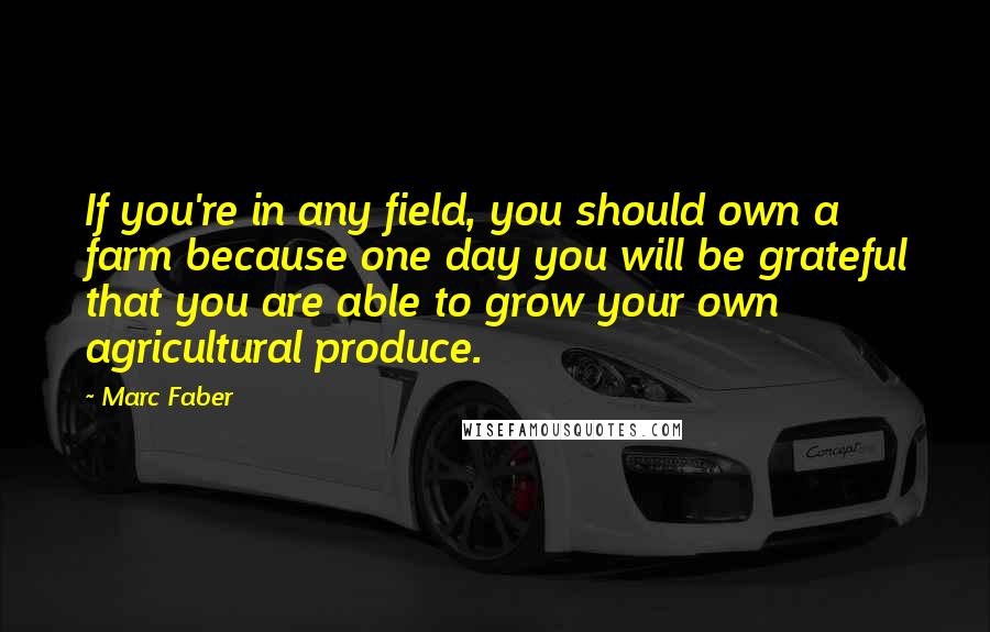 Marc Faber Quotes: If you're in any field, you should own a farm because one day you will be grateful that you are able to grow your own agricultural produce.
