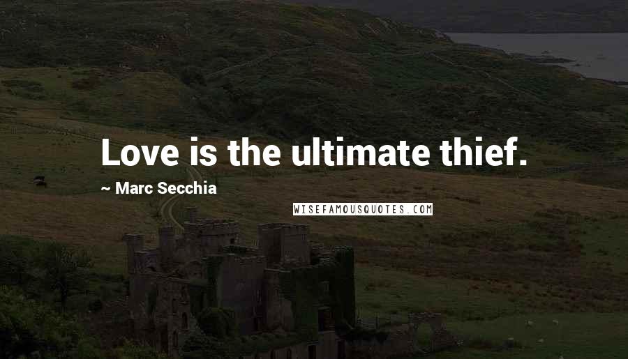 Marc Secchia Quotes: Love is the ultimate thief.