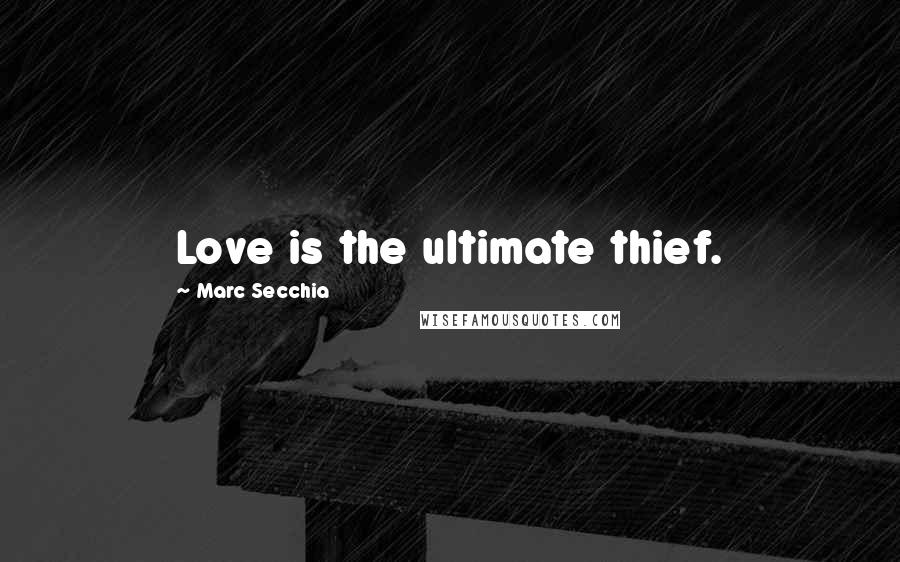 Marc Secchia Quotes: Love is the ultimate thief.