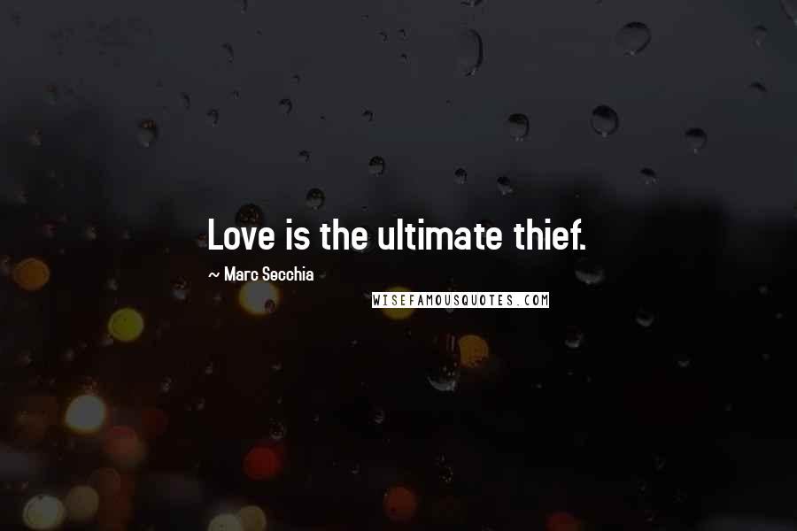 Marc Secchia Quotes: Love is the ultimate thief.