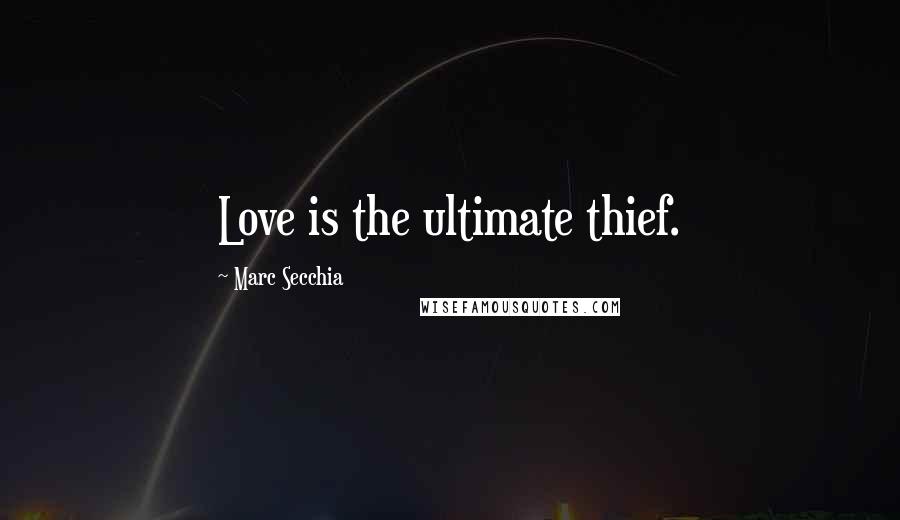 Marc Secchia Quotes: Love is the ultimate thief.