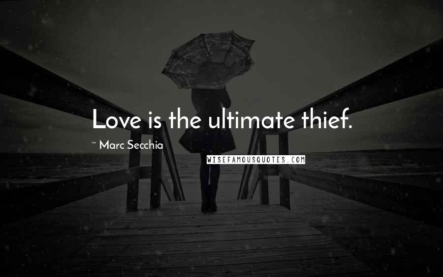 Marc Secchia Quotes: Love is the ultimate thief.