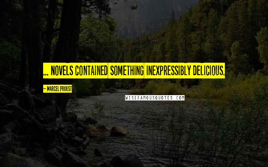 Marcel Proust Quotes: ... novels contained something inexpressibly delicious.