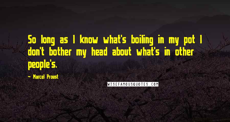 Marcel Proust Quotes: So long as I know what's boiling in my pot I don't bother my head about what's in other people's.