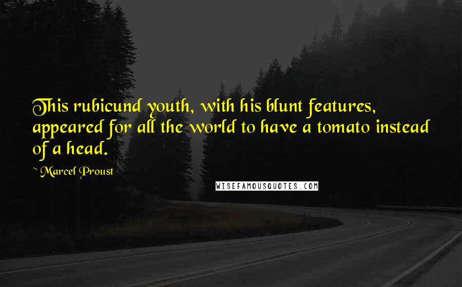 Marcel Proust Quotes: This rubicund youth, with his blunt features, appeared for all the world to have a tomato instead of a head.