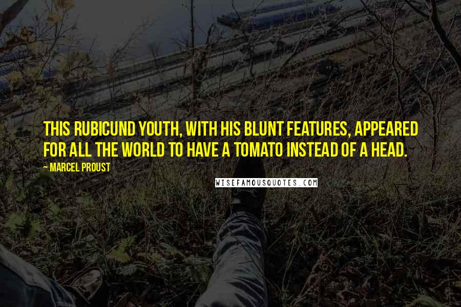 Marcel Proust Quotes: This rubicund youth, with his blunt features, appeared for all the world to have a tomato instead of a head.