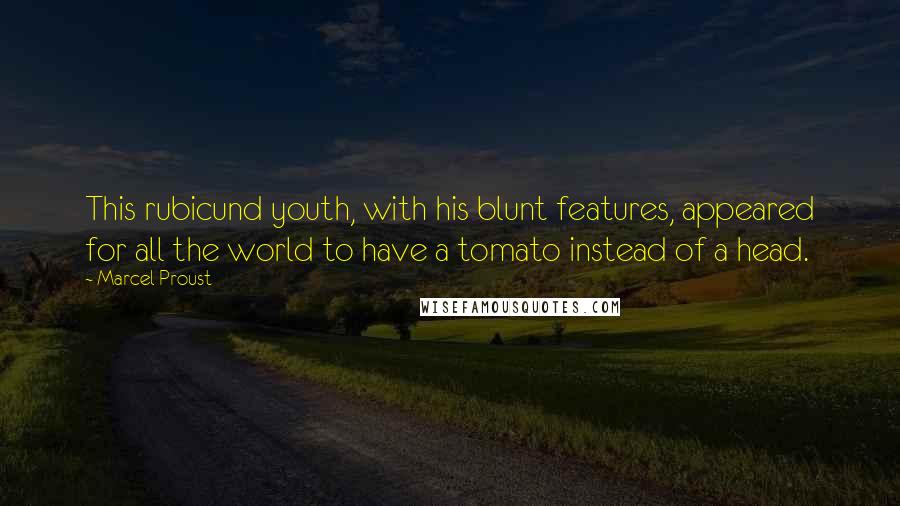 Marcel Proust Quotes: This rubicund youth, with his blunt features, appeared for all the world to have a tomato instead of a head.