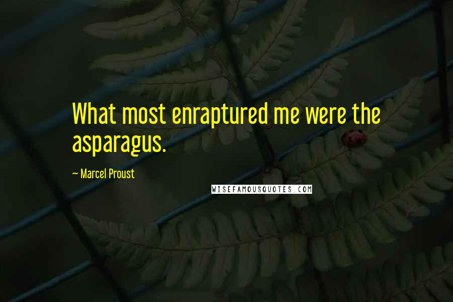 Marcel Proust Quotes: What most enraptured me were the asparagus.