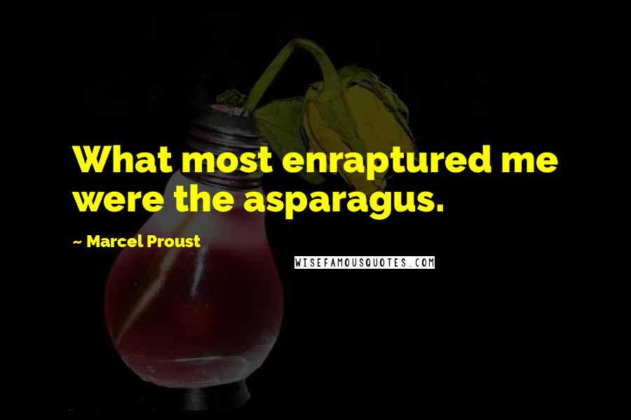 Marcel Proust Quotes: What most enraptured me were the asparagus.