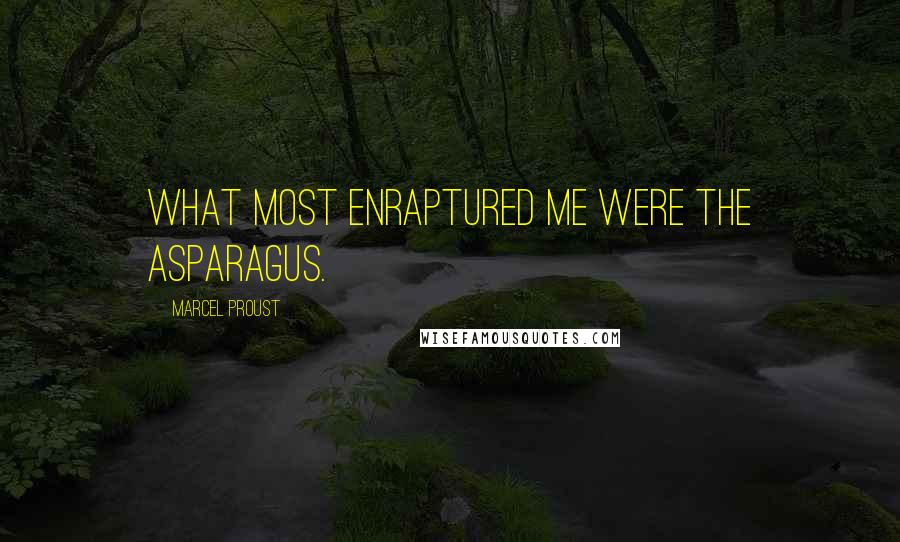 Marcel Proust Quotes: What most enraptured me were the asparagus.