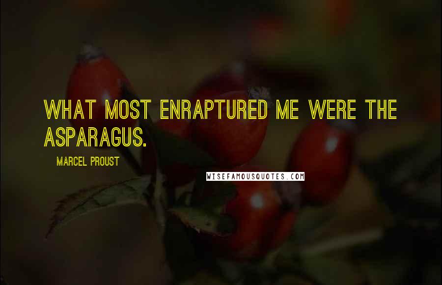 Marcel Proust Quotes: What most enraptured me were the asparagus.