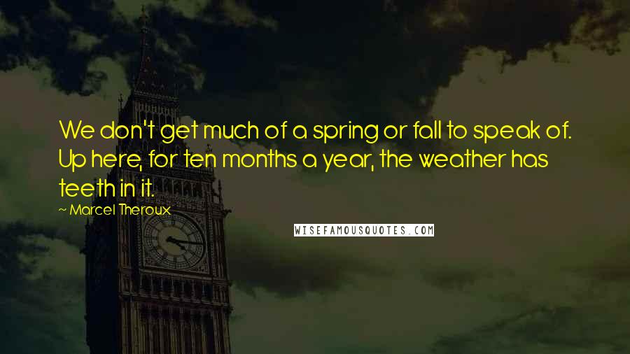 Marcel Theroux Quotes: We don't get much of a spring or fall to speak of. Up here, for ten months a year, the weather has teeth in it.