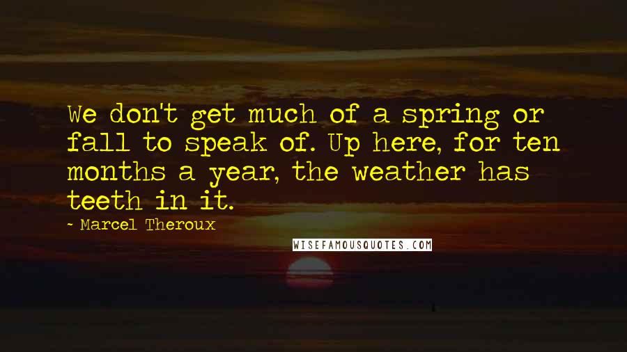 Marcel Theroux Quotes: We don't get much of a spring or fall to speak of. Up here, for ten months a year, the weather has teeth in it.