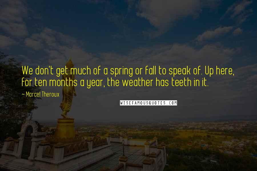 Marcel Theroux Quotes: We don't get much of a spring or fall to speak of. Up here, for ten months a year, the weather has teeth in it.