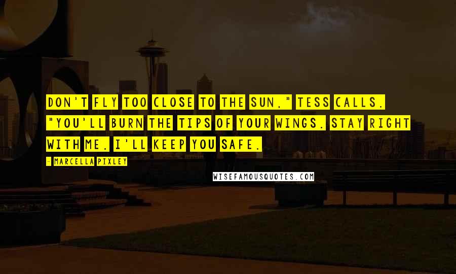 Marcella Pixley Quotes: don't fly too close to the sun," Tess Calls. "you'll burn the tips of your wings. Stay right with me. i'll keep you safe.