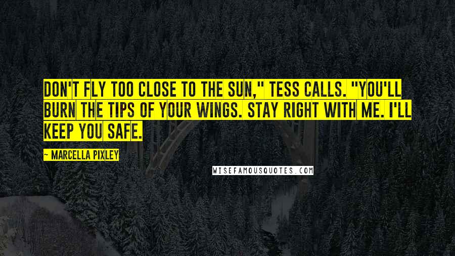 Marcella Pixley Quotes: don't fly too close to the sun," Tess Calls. "you'll burn the tips of your wings. Stay right with me. i'll keep you safe.