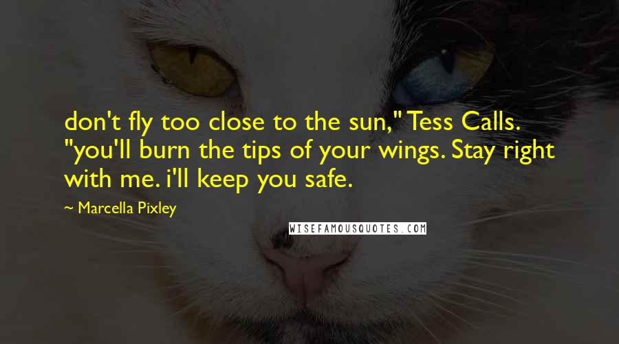 Marcella Pixley Quotes: don't fly too close to the sun," Tess Calls. "you'll burn the tips of your wings. Stay right with me. i'll keep you safe.