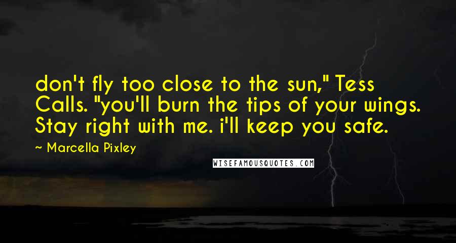 Marcella Pixley Quotes: don't fly too close to the sun," Tess Calls. "you'll burn the tips of your wings. Stay right with me. i'll keep you safe.