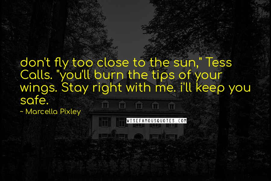 Marcella Pixley Quotes: don't fly too close to the sun," Tess Calls. "you'll burn the tips of your wings. Stay right with me. i'll keep you safe.