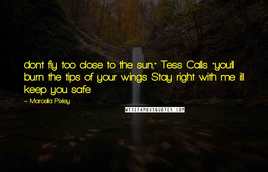 Marcella Pixley Quotes: don't fly too close to the sun," Tess Calls. "you'll burn the tips of your wings. Stay right with me. i'll keep you safe.